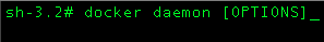 docker daemon format